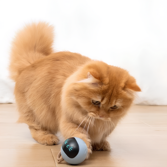 Smart Cat Toy
